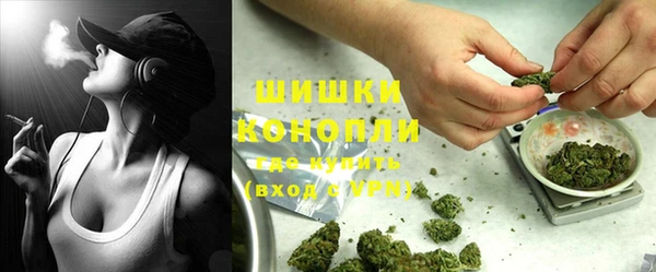 кокс Богородицк