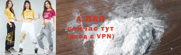 дмт Белокуриха