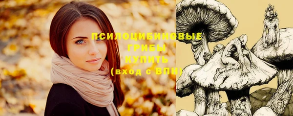 дмт Белокуриха