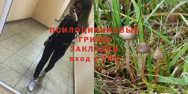 дурь Белоозёрский