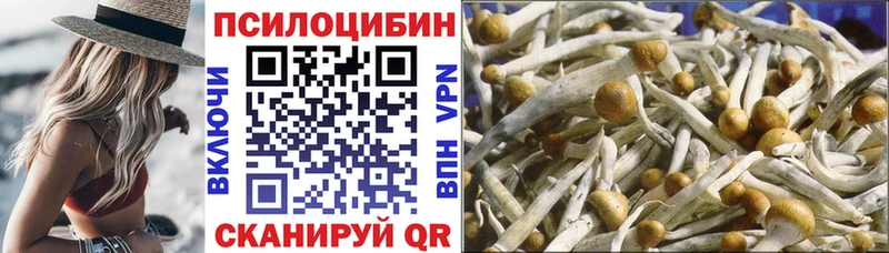 продажа наркотиков Сковородино Псилоцибиновые грибы GOLDEN TEACHER